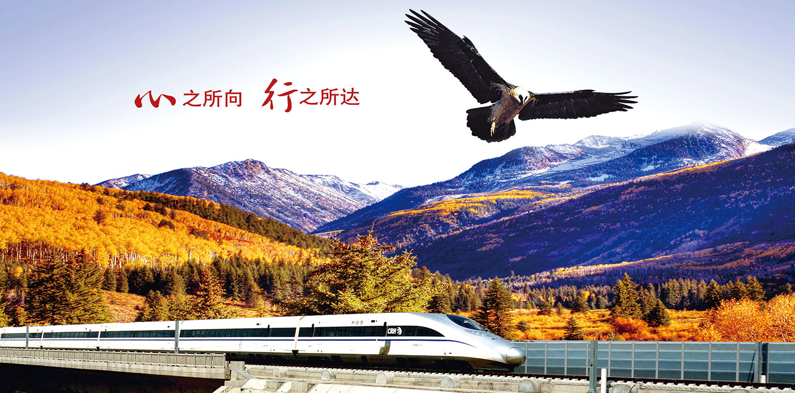 專業、專注、創新、創造（zào）、智能、高效（xiào）