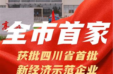 全市首家 | 麻花传媒MV在线观看智（zhì）裝獲批省首批（pī）新經濟示範企（qǐ）業（yè）